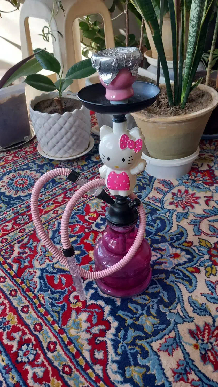 قلیان کیتی|کلکسیون و سرگرمی|ملکان, |دیوار