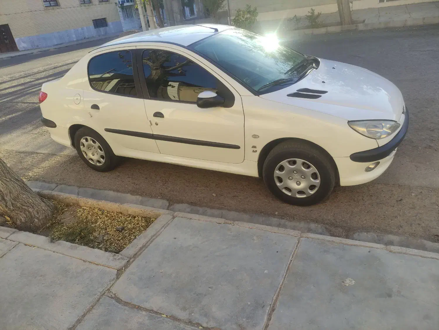 206sdکلکسیونی|خودرو سواری و وانت|فردوس (خراسان), |دیوار