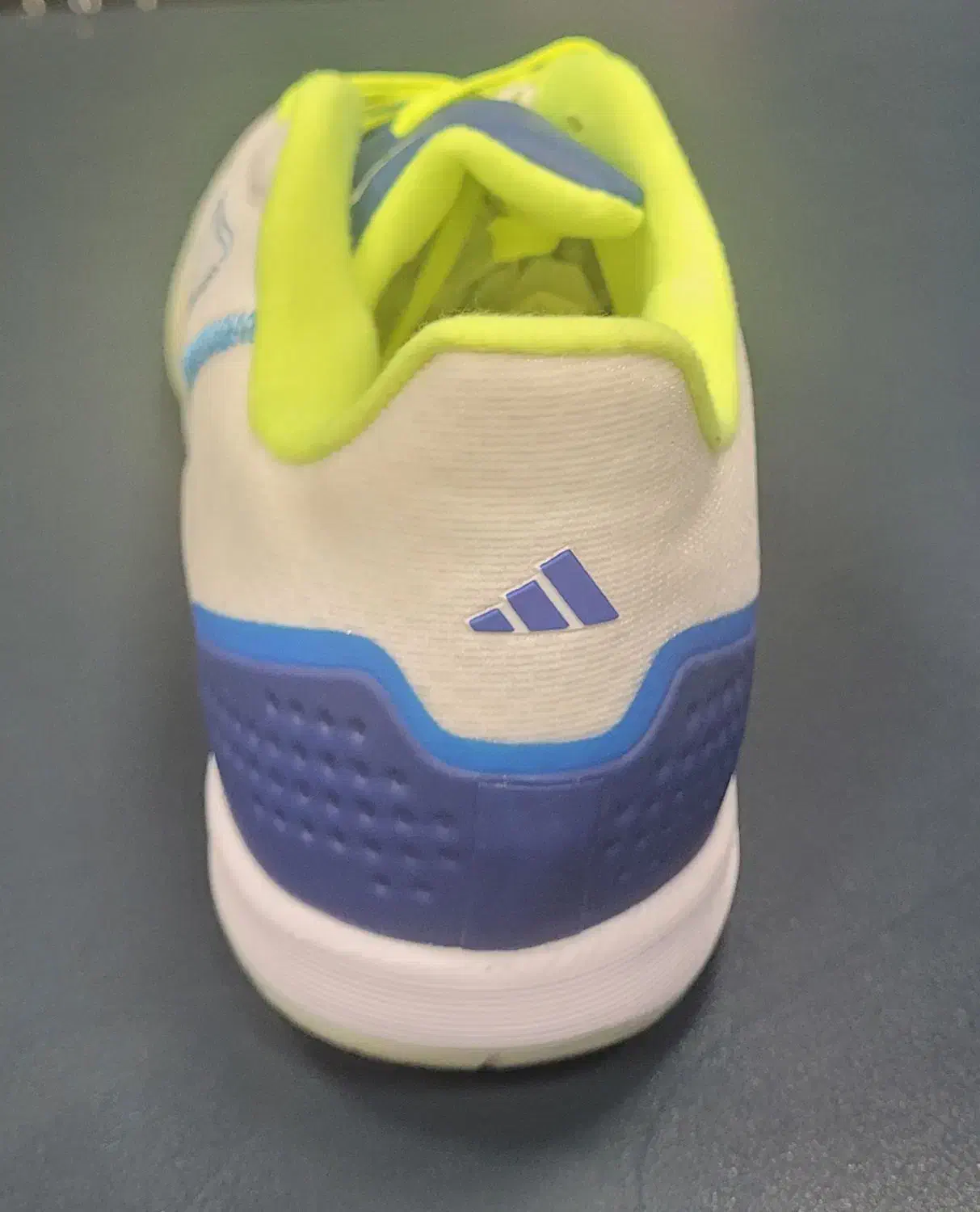 کتونی فوتسال ادیداس|کیف، کفش، کمربند|رشت, کاکتوس|دیوار