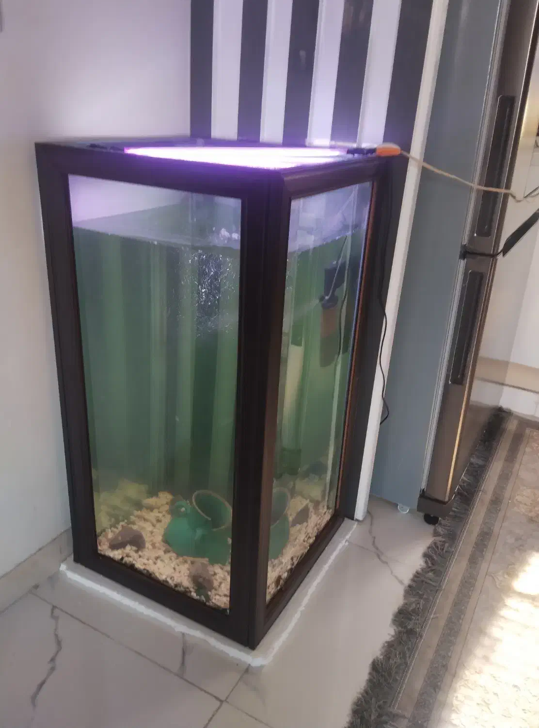 آکواریوم ۵۰در۷۰|ماهی|لنگرود, |دیوار