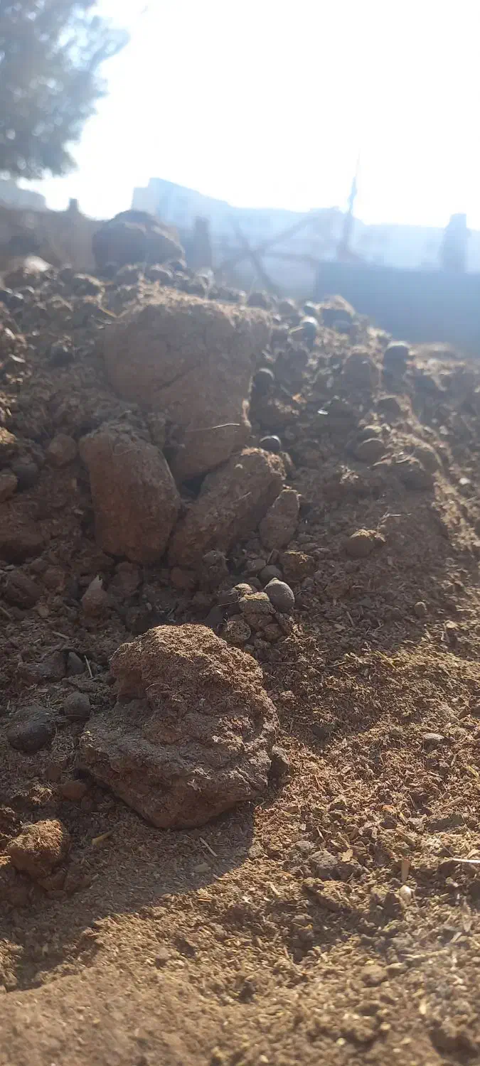 کود گوسفندی|خدمات باغبانی و درختکاری|صفادشت, |دیوار