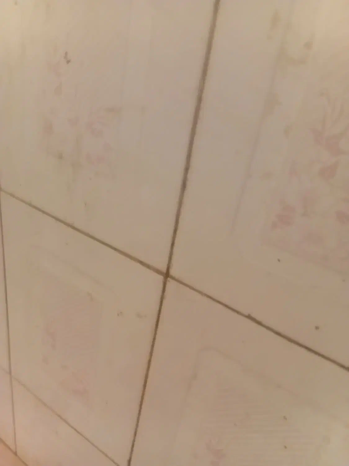 کارگر روز مزد هستم بجنورد|خدمات پیشه و مهارت|بجنورد, |دیوار