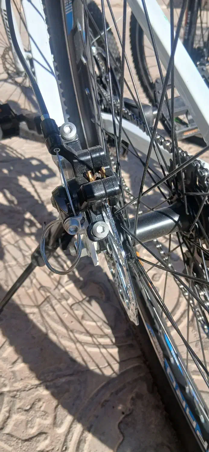 دوچرخه درجه یک|دوچرخه، اسکیت، اسکوتر|زرند, |دیوار