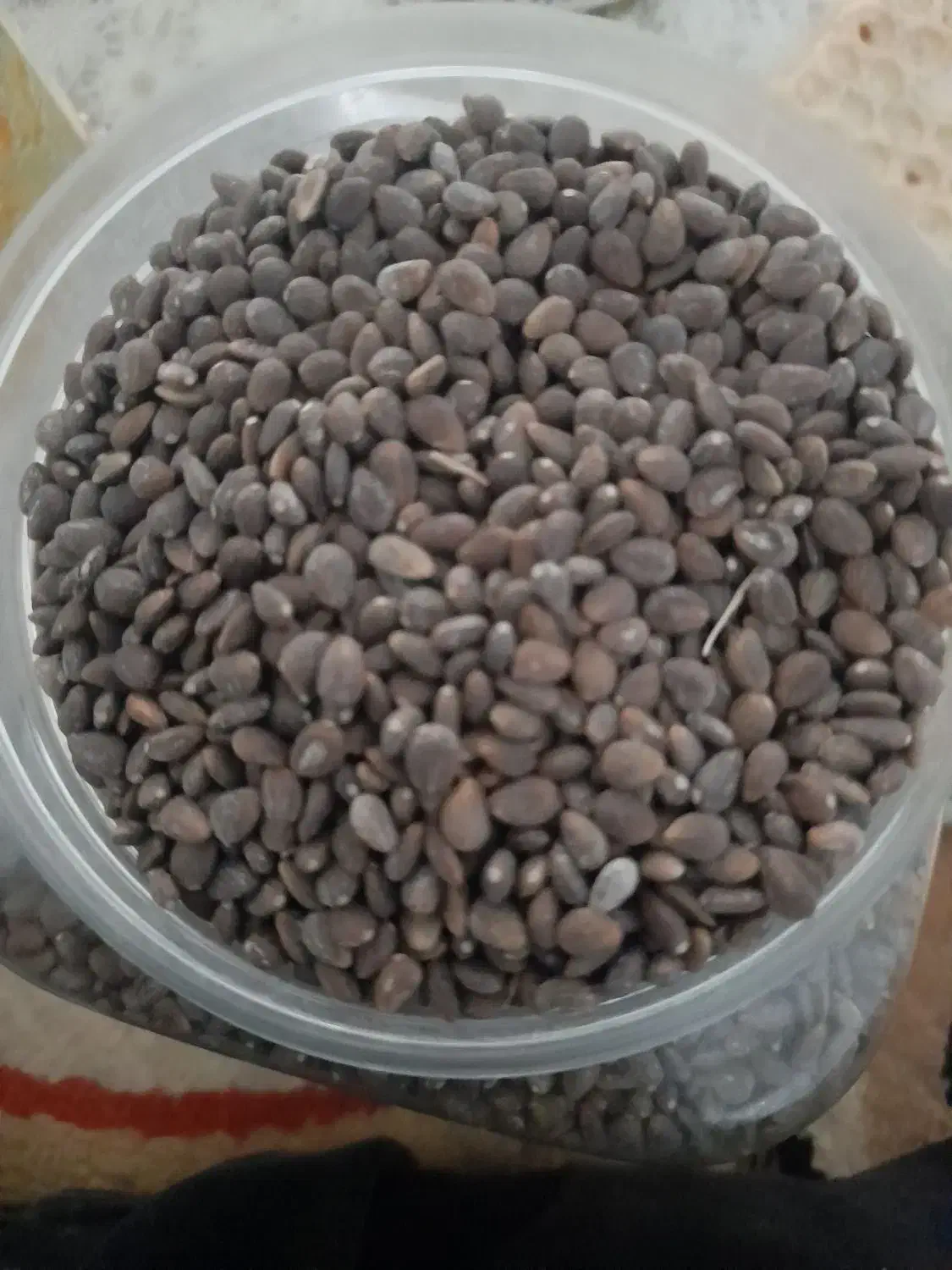 دانه خارمریم|خوردنی و آشامیدنی|ایوان, |دیوار