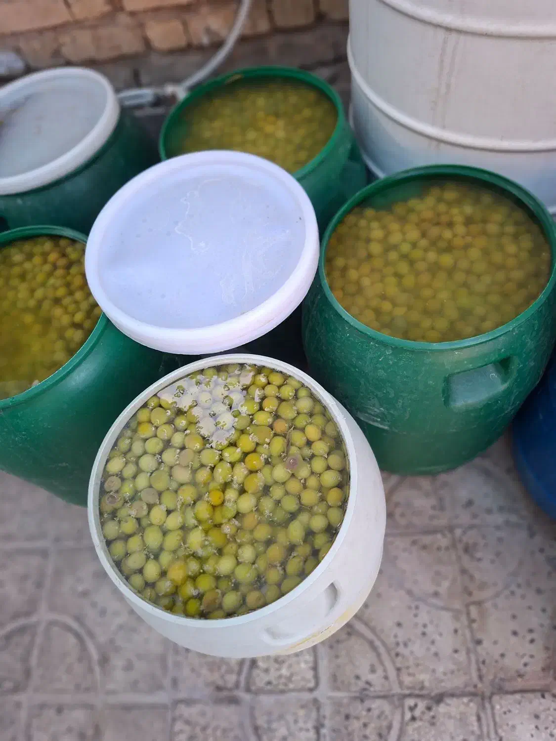 زیتون|خوردنی و آشامیدنی|شیراز, رازی|دیوار