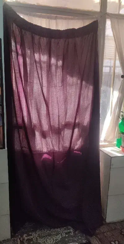 پرده|پرده، رانر، رومیزی|مشهد, مقدم|دیوار