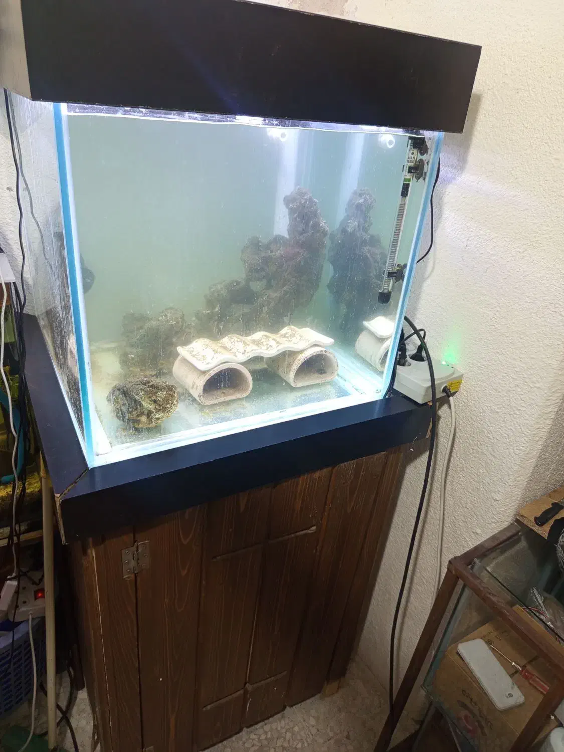 آکواریوم آب شور|ماهی|اصفهان, شفق|دیوار