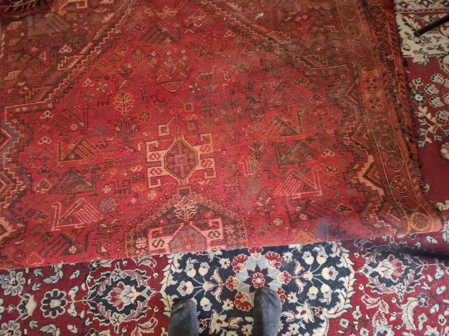 قالی دست باف ۶متری وتمیز مال ۱۰۰سال پیش هست|فرش|شیراز, میانرود|دیوار