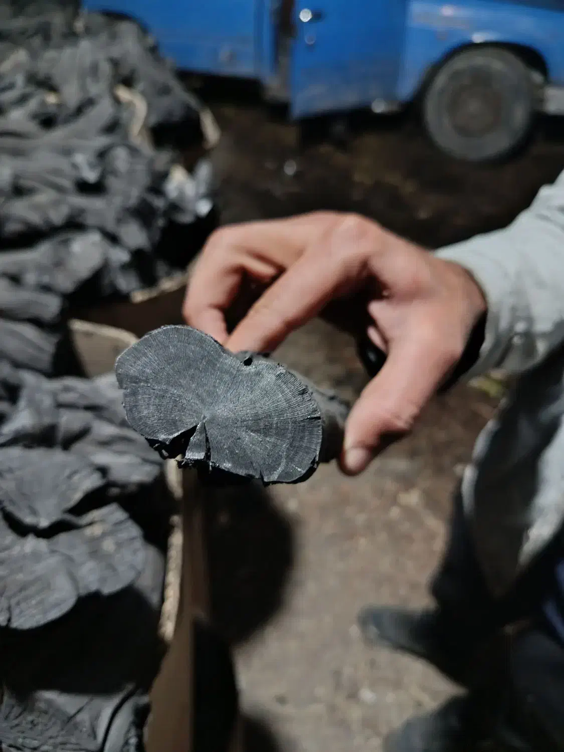 زغال انگور|عمده‌فروشی|ملارد, |دیوار