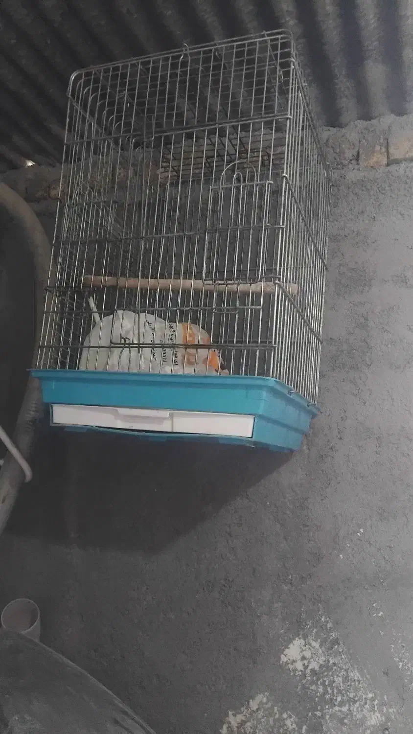 قفس حراج|اشیا|بروجرد, |دیوار