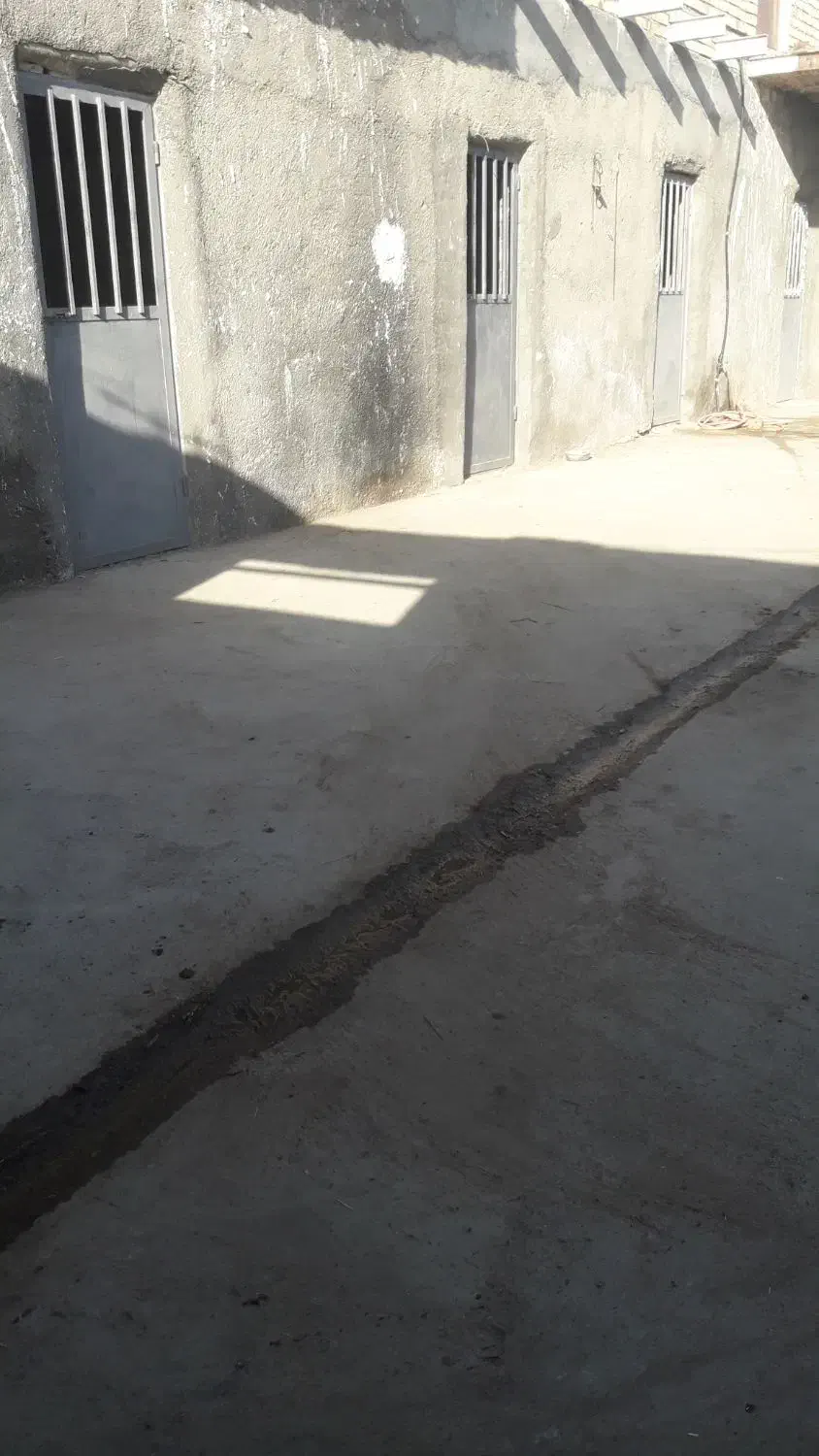 پانسیون اسب وتربیت اسب آموزش سوارکاری -نعلبندی|اسب و تجهیزات اسب‌سواری|مشهد, چهاربرج|دیوار