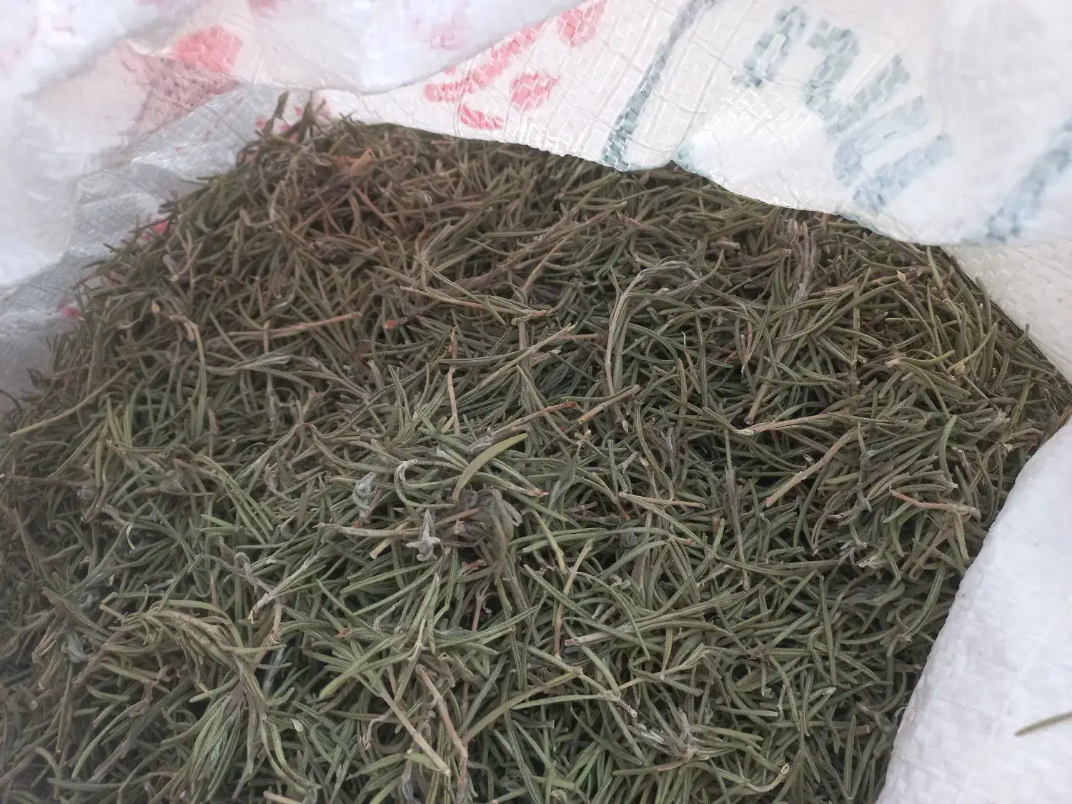 رزماری  کیلو ۲۲۰|گل و گیاه طبیعی|دهدشت, |دیوار