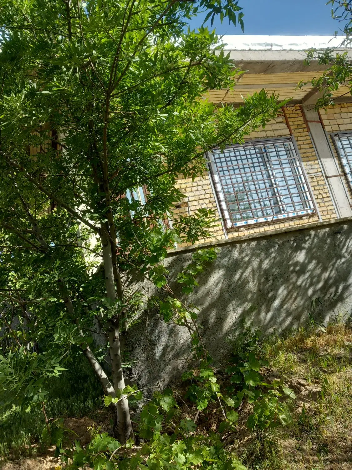 خانه باغ|فروش خانه و ویلا|جوکار, |دیوار