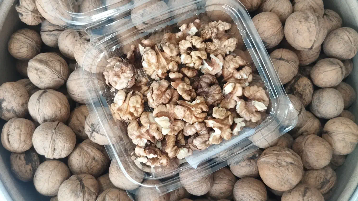 ارائه گردو و محصولات ترش شیرین|خوردنی و آشامیدنی|تهران, خاک سفید|دیوار