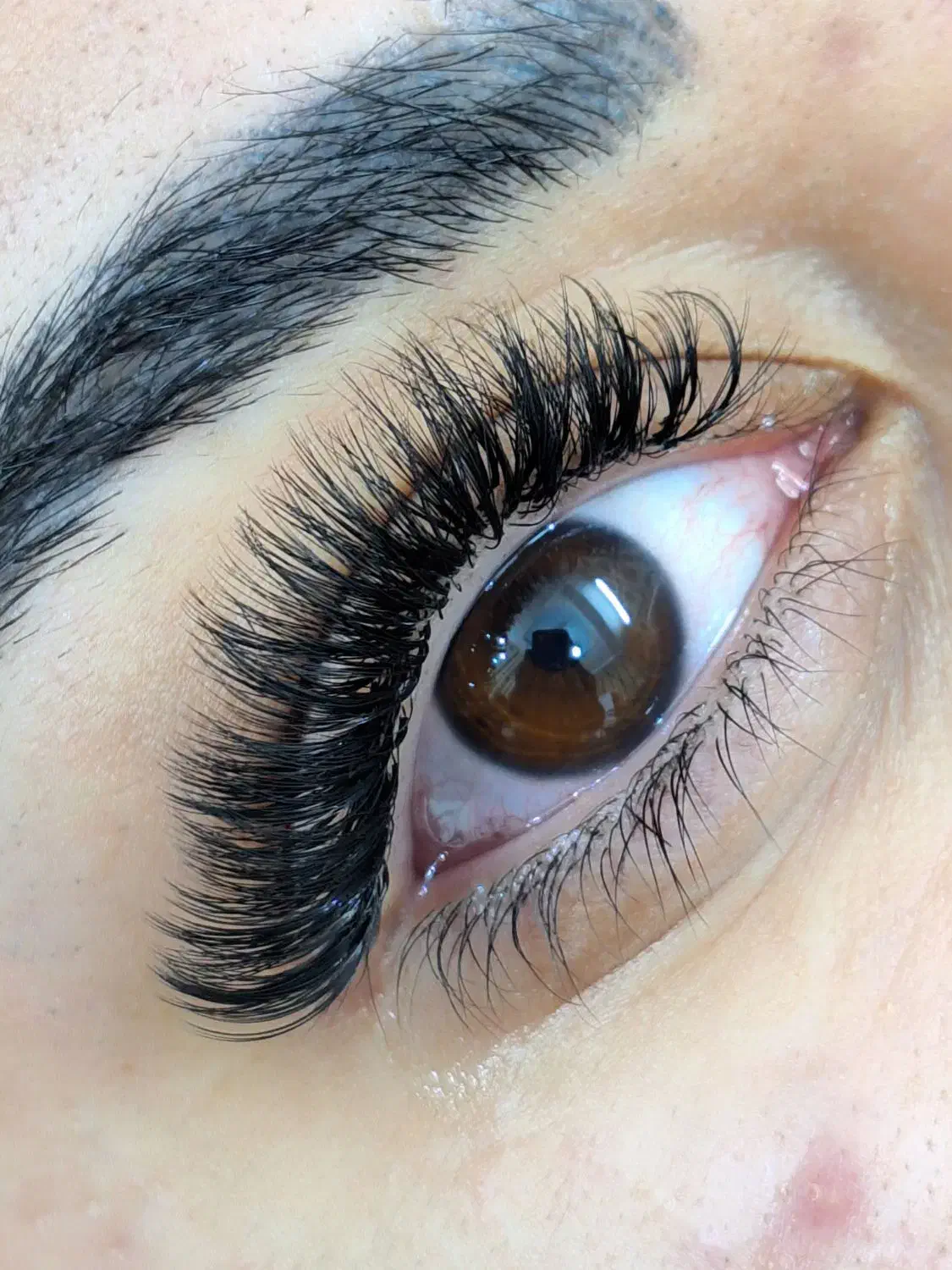 اکستنشن مژه و لیفت و لمینت|خدمات آرایشگری و زیبایی|صدرا-فارس, فاز ۱|دیوار