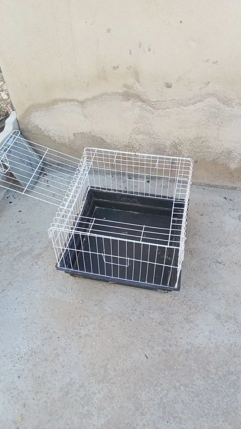 قفس آهنی|لوازم جانبی حیوانات|ایلام, |دیوار