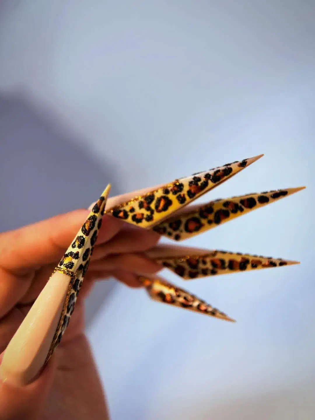 آموزش حرفهای ناخن با تخفیف|خدمات آرایشگری و زیبایی|تبریز, |دیوار