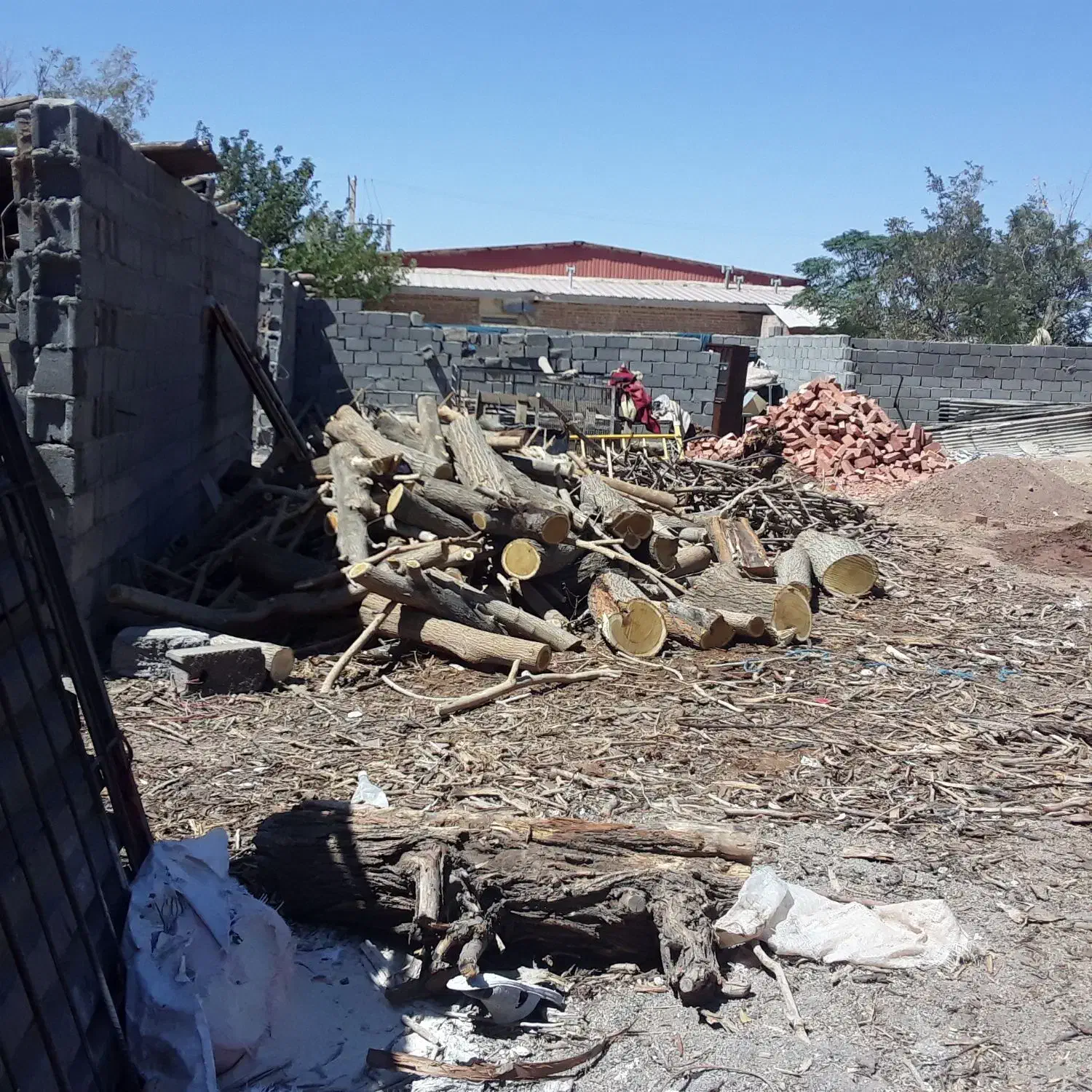 خرید چوب|خدمات باغبانی و درختکاری|کرمان, |دیوار