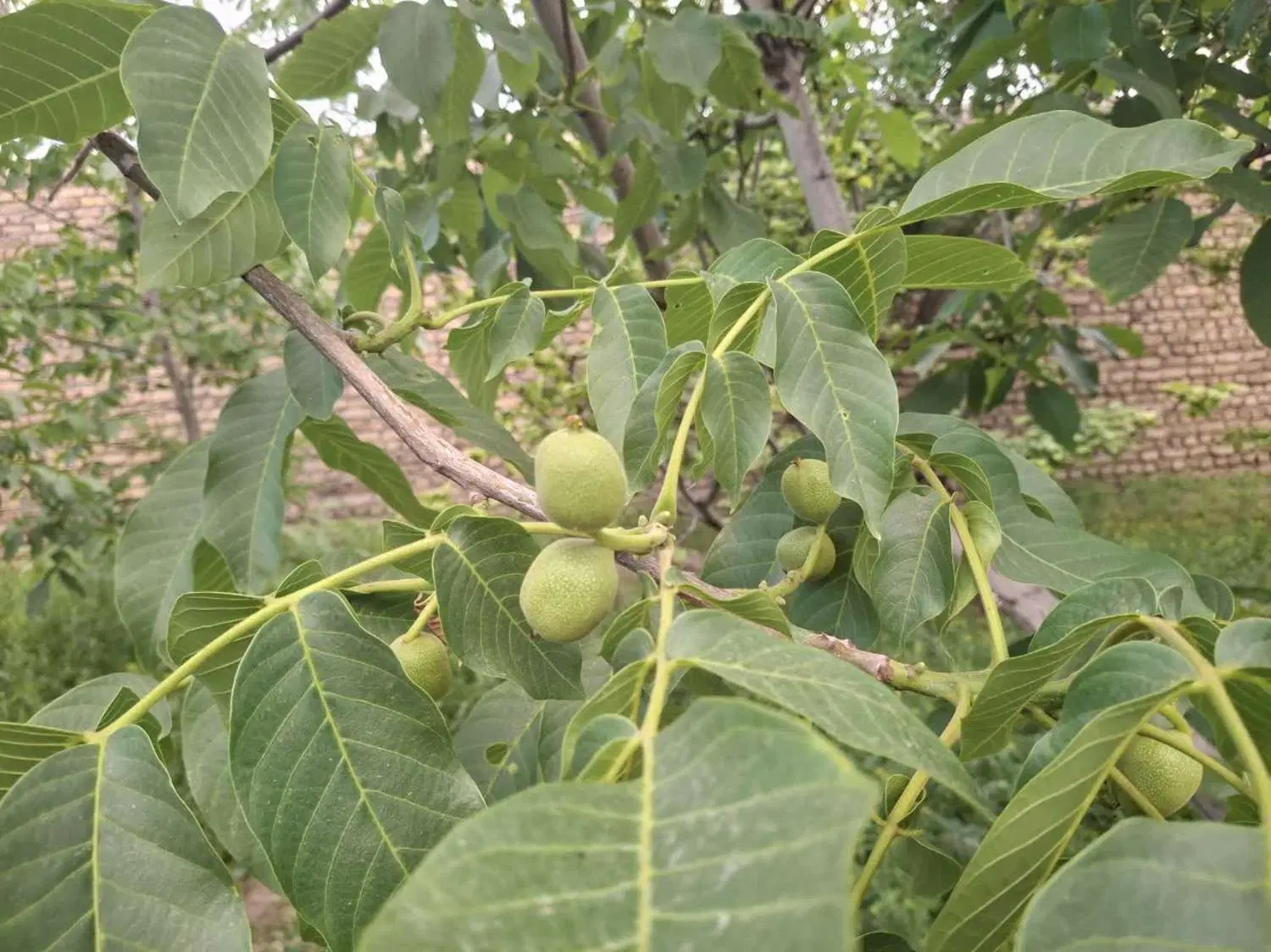 تصویر 17
