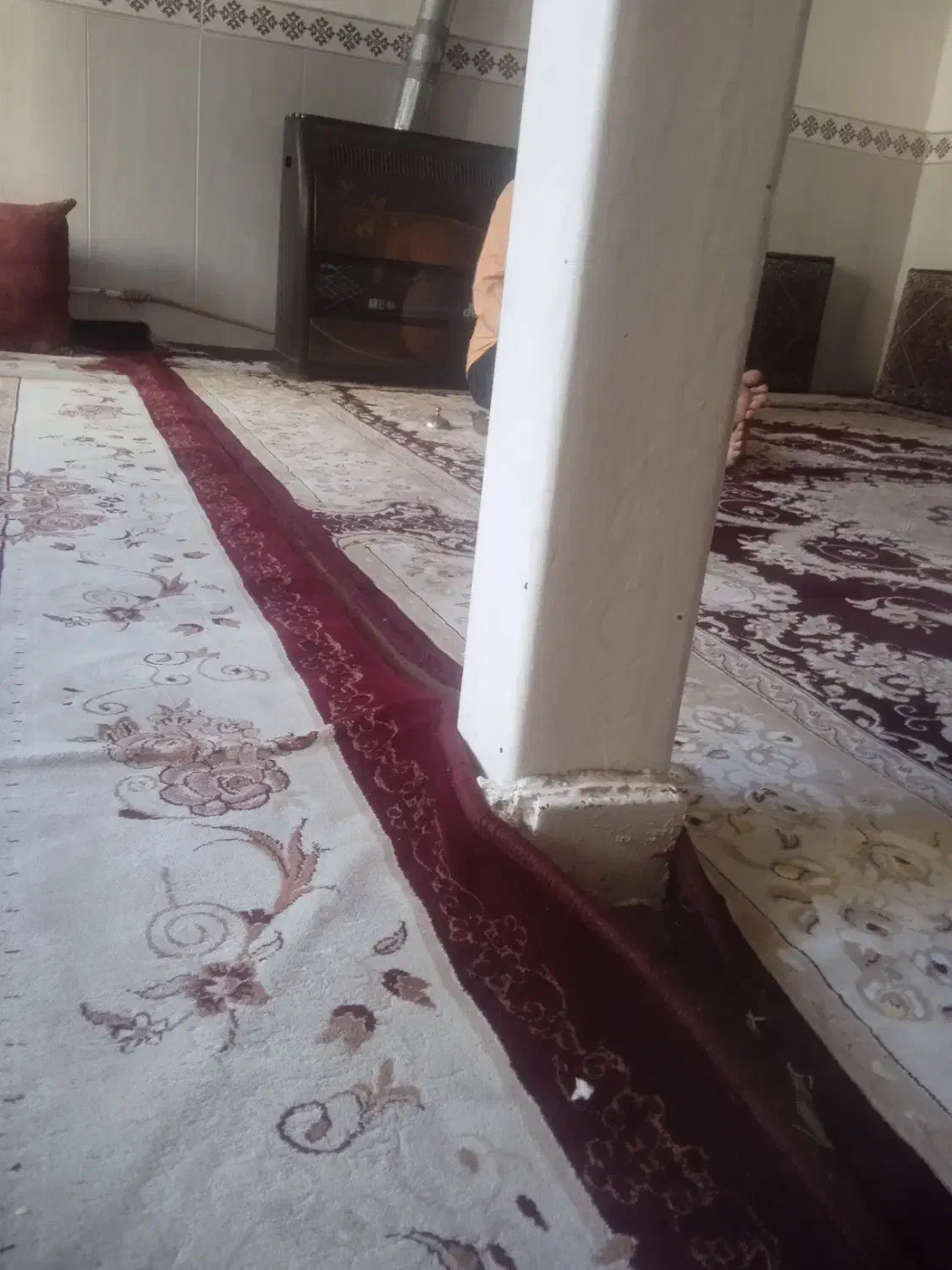 همخونه میخو ام|اجارهٔ آپارتمان|زنجان, |دیوار