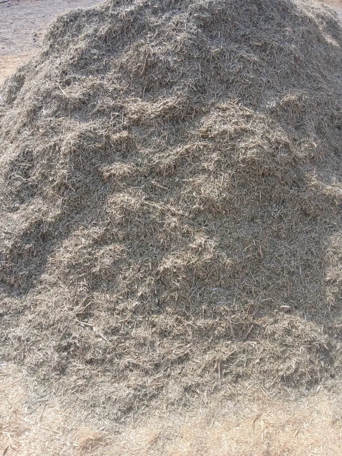 کاه لوبیا|لوازم جانبی حیوانات|کهنوج, |دیوار