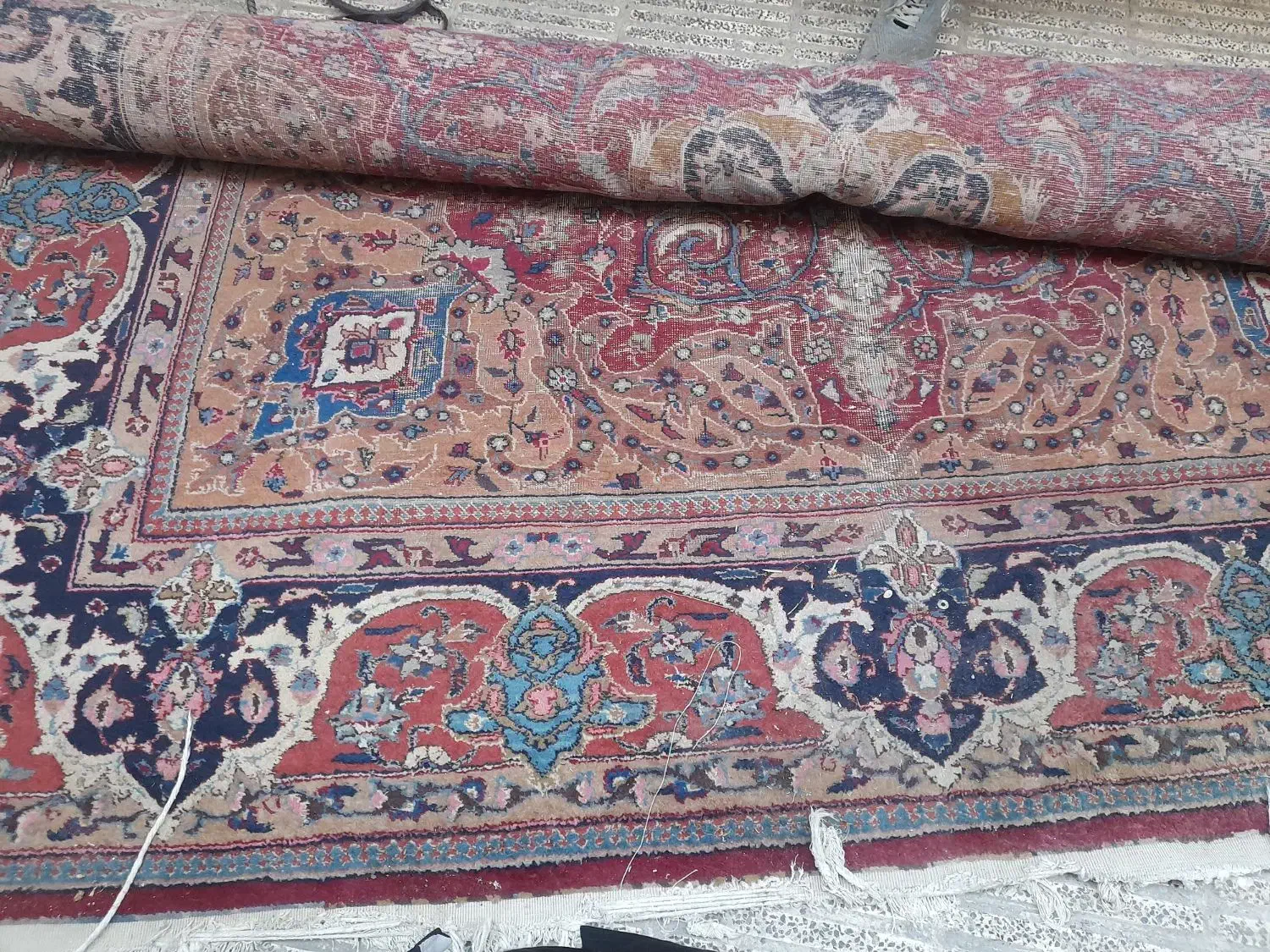 فرش قالی|فرش|گرگان, |دیوار