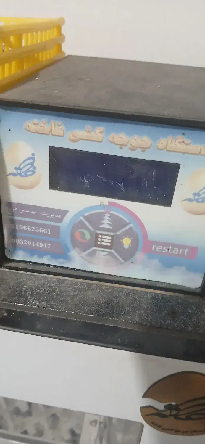 دستگاه جوجه کشی|لوازم جانبی حیوانات|دورود, |دیوار