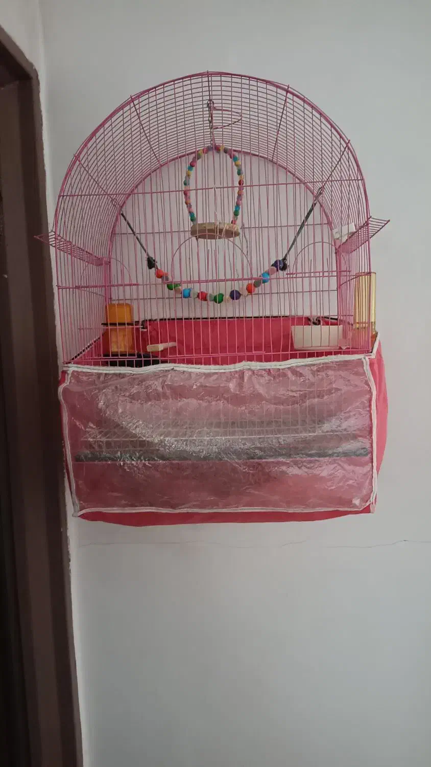 قفس بزرگ بفروش میرسد|لوازم جانبی حیوانات|باسمنج, |دیوار