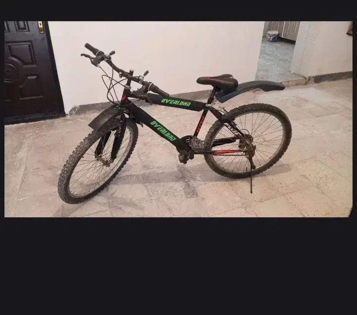 دوچرخه ۲۶|دوچرخه، اسکیت، اسکوتر|اسفراین, |دیوار