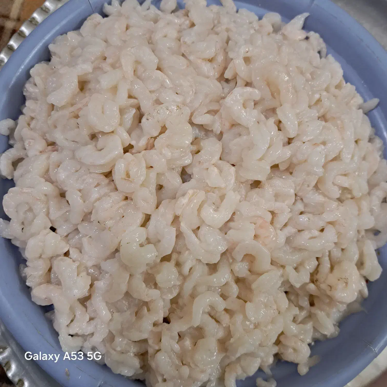 میگو مخلوط(درشت وتوسط وریز)|خوردنی و آشامیدنی|اهواز, کوروش|دیوار