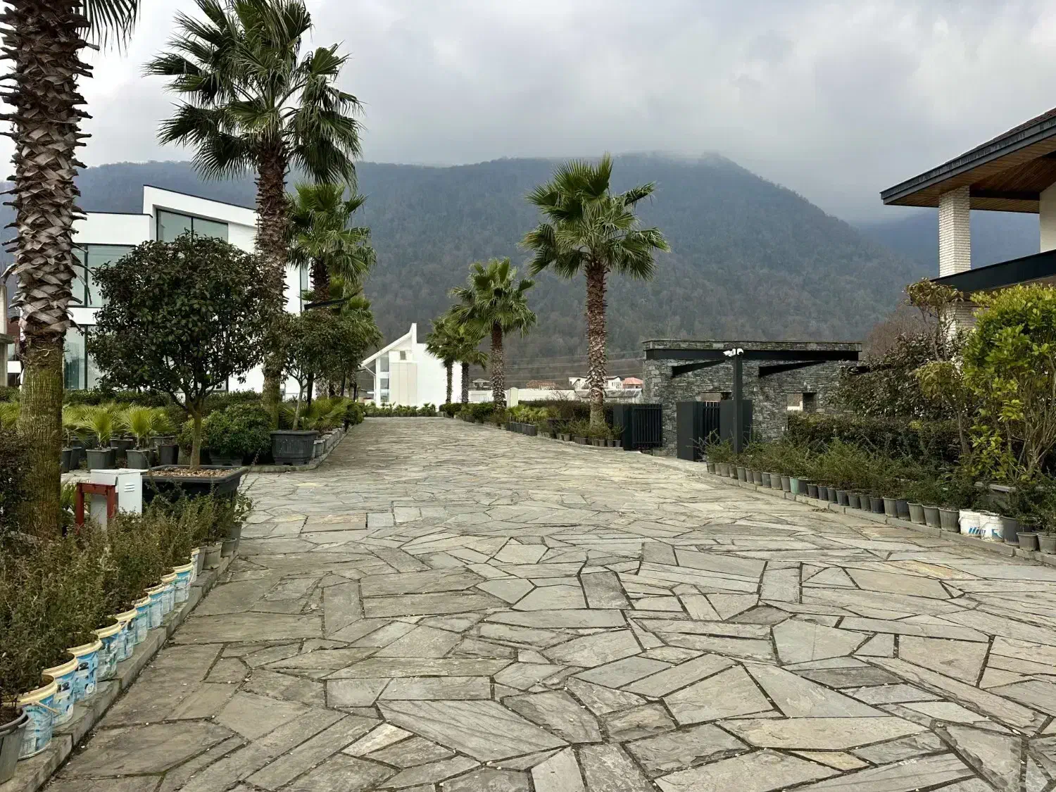 شهرک ساحلی در نشتارود کاملا مسکونی با انشعابات|فروش زمین و ملک کلنگی|نشتارود, |دیوار