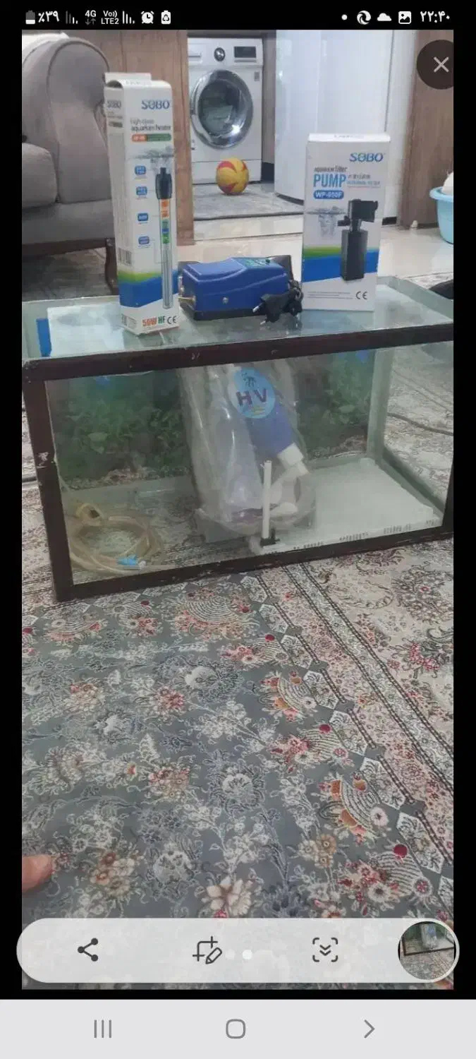 اکواریوم با کلیه لوازم|ماهی|تهران, شادآباد|دیوار