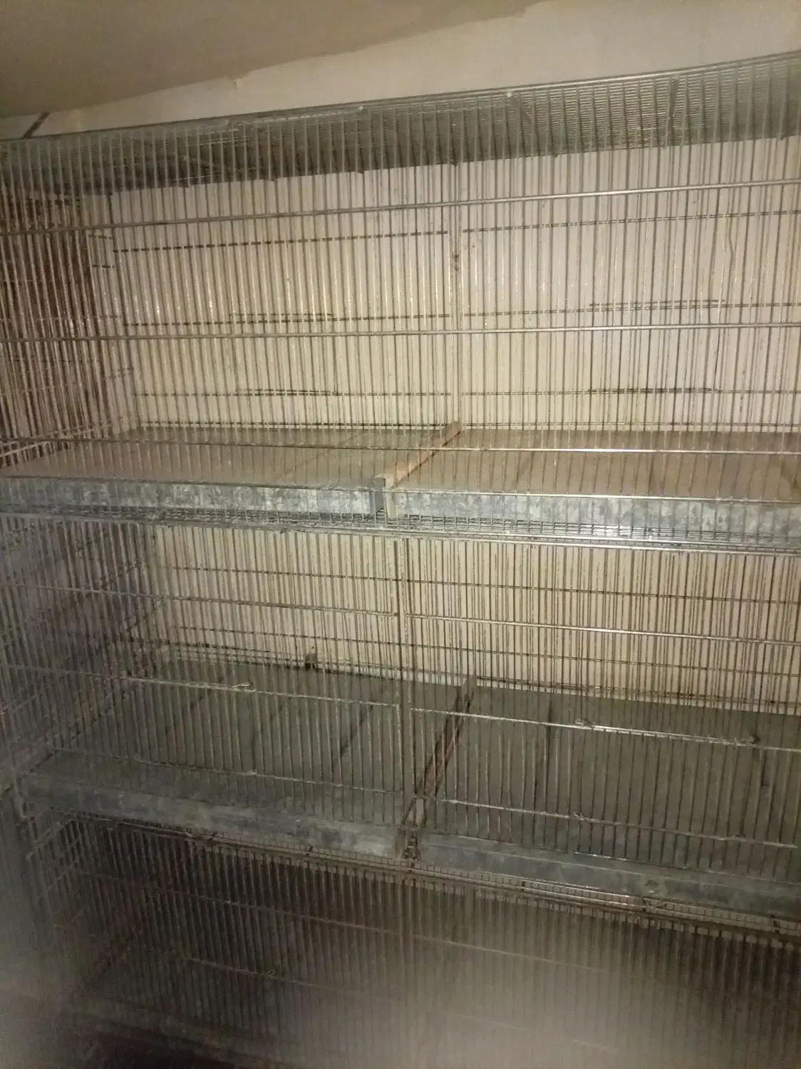 قفس طبقاتی محکم|لوازم جانبی حیوانات|نیشابور, گنبد سبز|دیوار