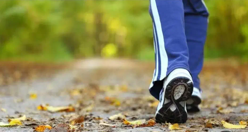 پارتنر پیاده روی|فعالیت داوطلبانه|تهران, افسریه جنوبی|دیوار