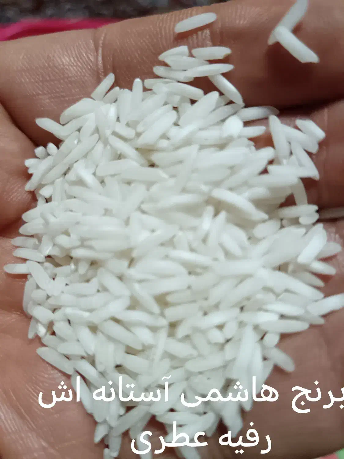 برنج هاشمی آستانه اشرفیه عطری ولاشه|خوردنی و آشامیدنی|قزوین, |دیوار