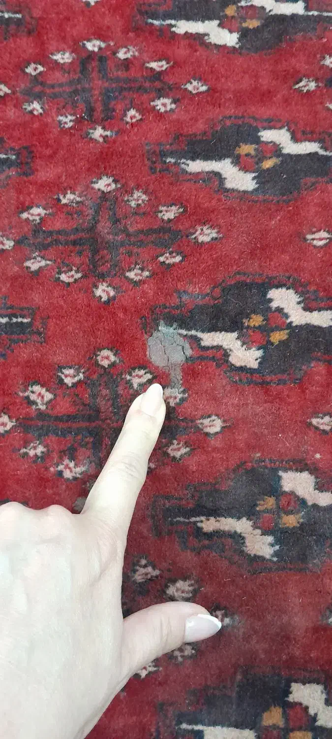 فرش دستباف قدیمی و اصیل ترکمن|فرش|مشهد, استاد یوسفی (شهرک غرب)|دیوار