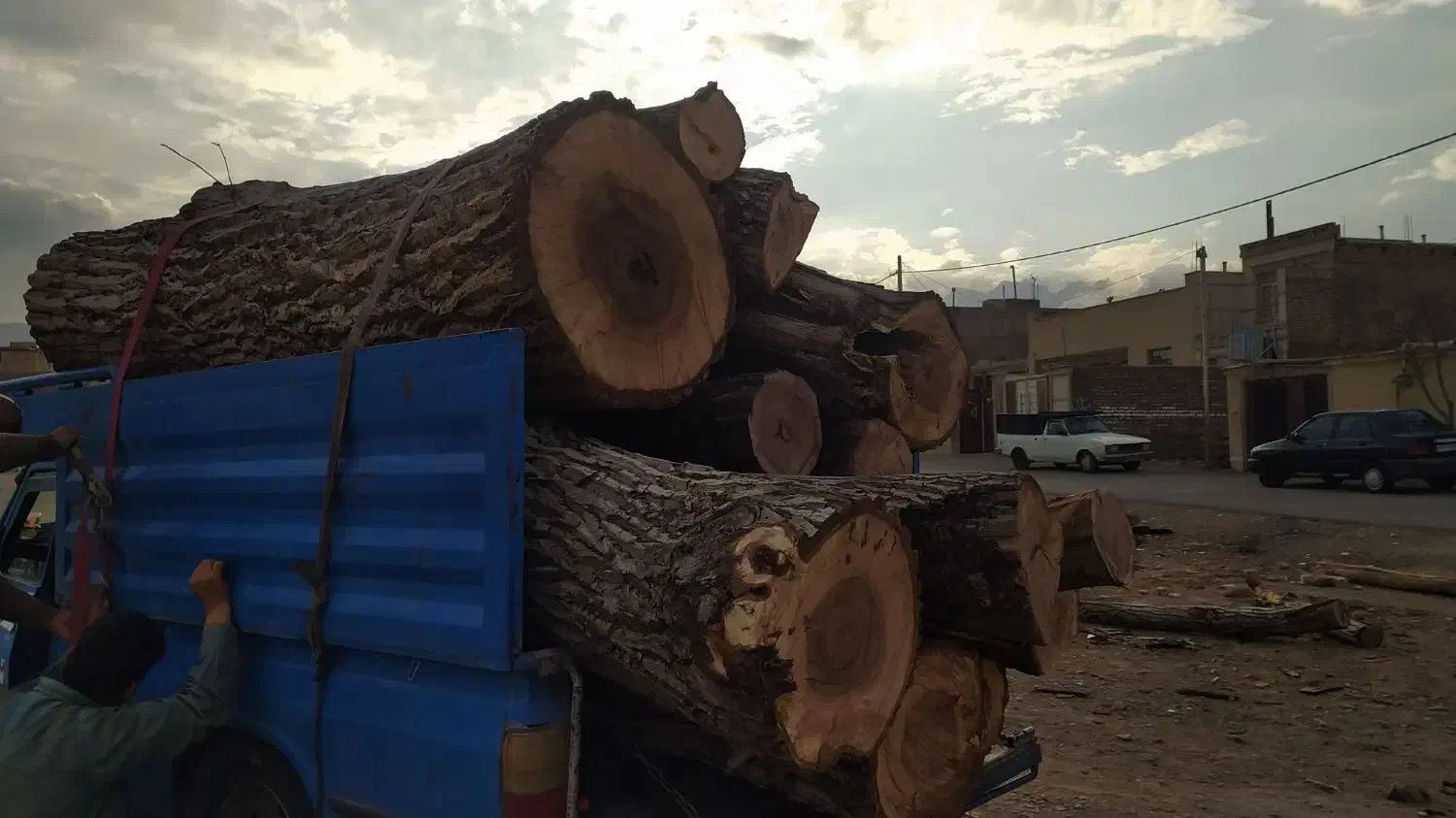 چوب|خدمات باغبانی و درختکاری|کاشان, راوند|دیوار