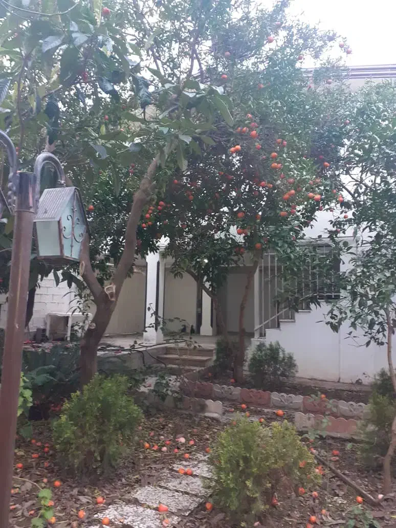 فروش ویلا 300 متری در هادی شهر|فروش خانه و ویلا|هادی شهر, |دیوار