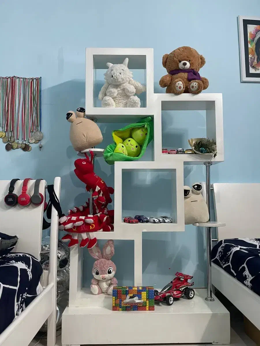 ویترین چوب سفید|کتابخانه، شلف، قفسههای دیواری|سبزوار, گلشن|دیوار