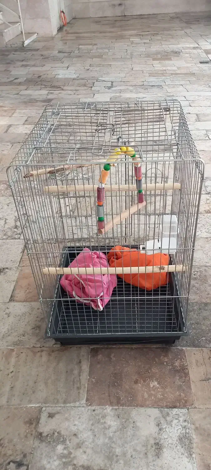 قفس پرنده ۱۰۳۳|لوازم جانبی حیوانات|مشکیندشت, |دیوار