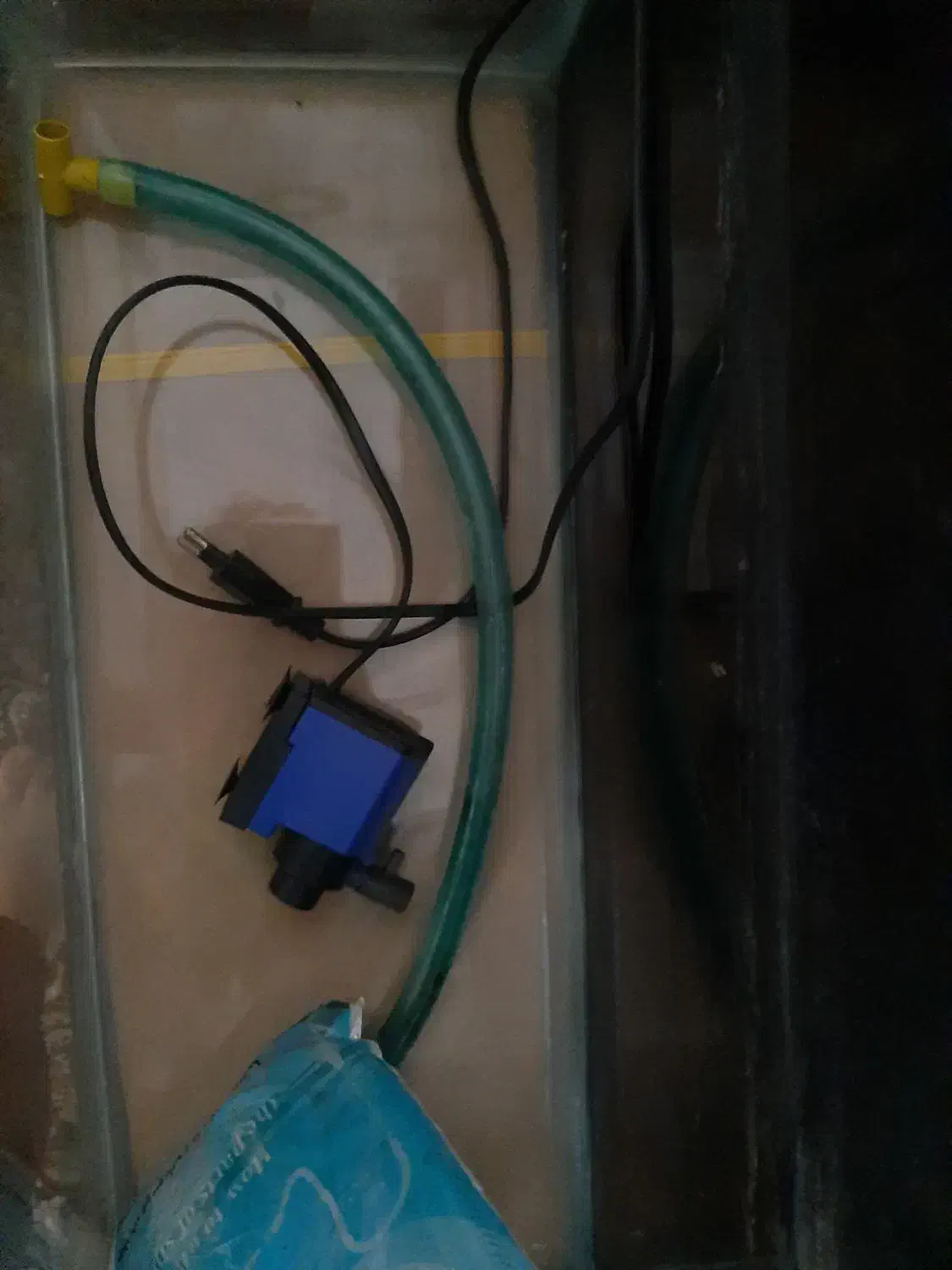 اکواریوم|ماهی|قم, ناصردیوان|دیوار