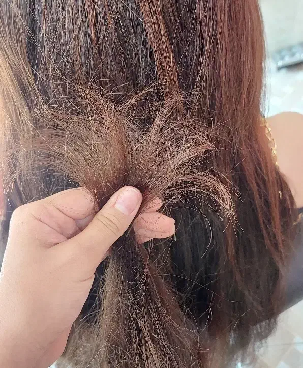 تخفیف موخوره گیری|خدمات آرایشگری و زیبایی|مبارکه, |دیوار