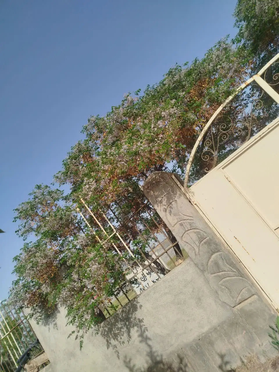 تصویر 11