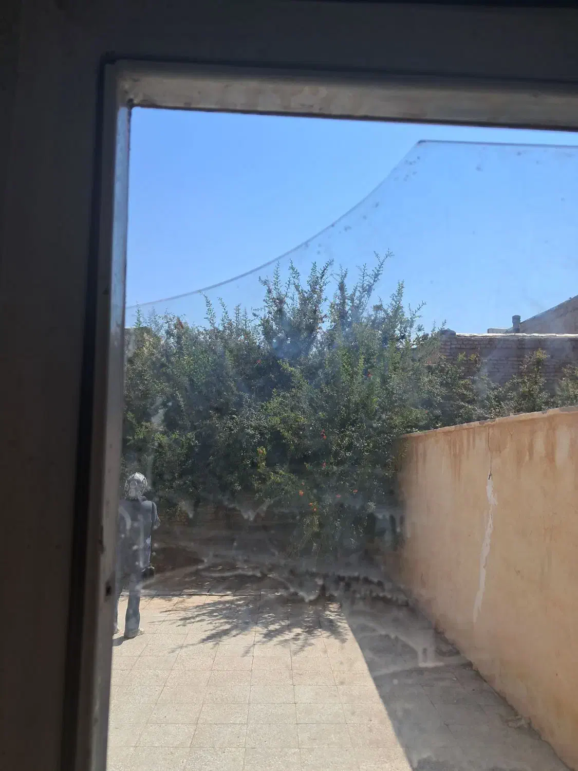 اجاره خانه کلنگی قدیمی|اجارهٔ خانه و ویلا|رفسنجان, |دیوار