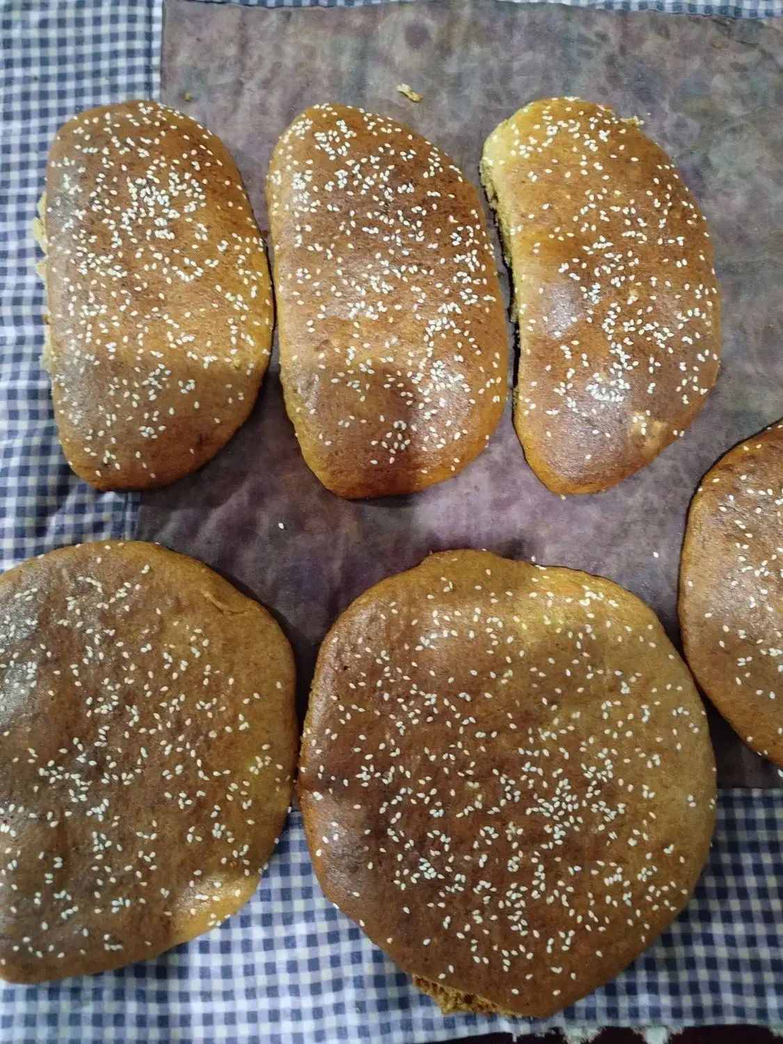 شیرمال کنجدی خرمایی ومغزی|خوردنی و آشامیدنی|نیمبلوک, |دیوار