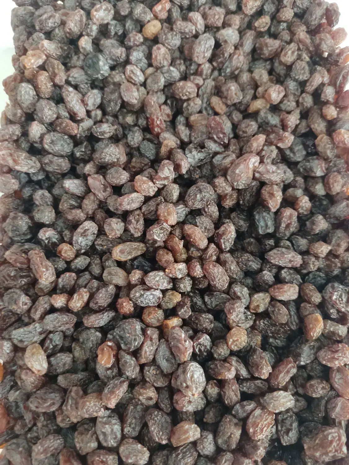 کشمش آفتابی انگور بیدانه ارداق درشت ودرجه یک|خوردنی و آشامیدنی|دشتابی, |دیوار