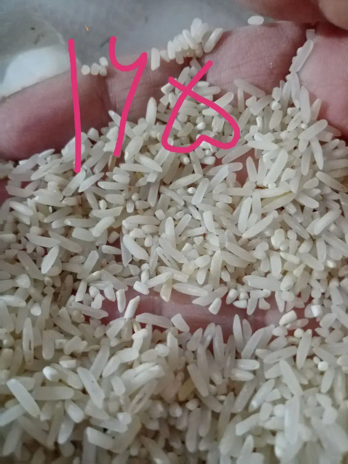 برنج فجر لاشه وسالم|خوردنی و آشامیدنی|گنبد کاووس, |دیوار