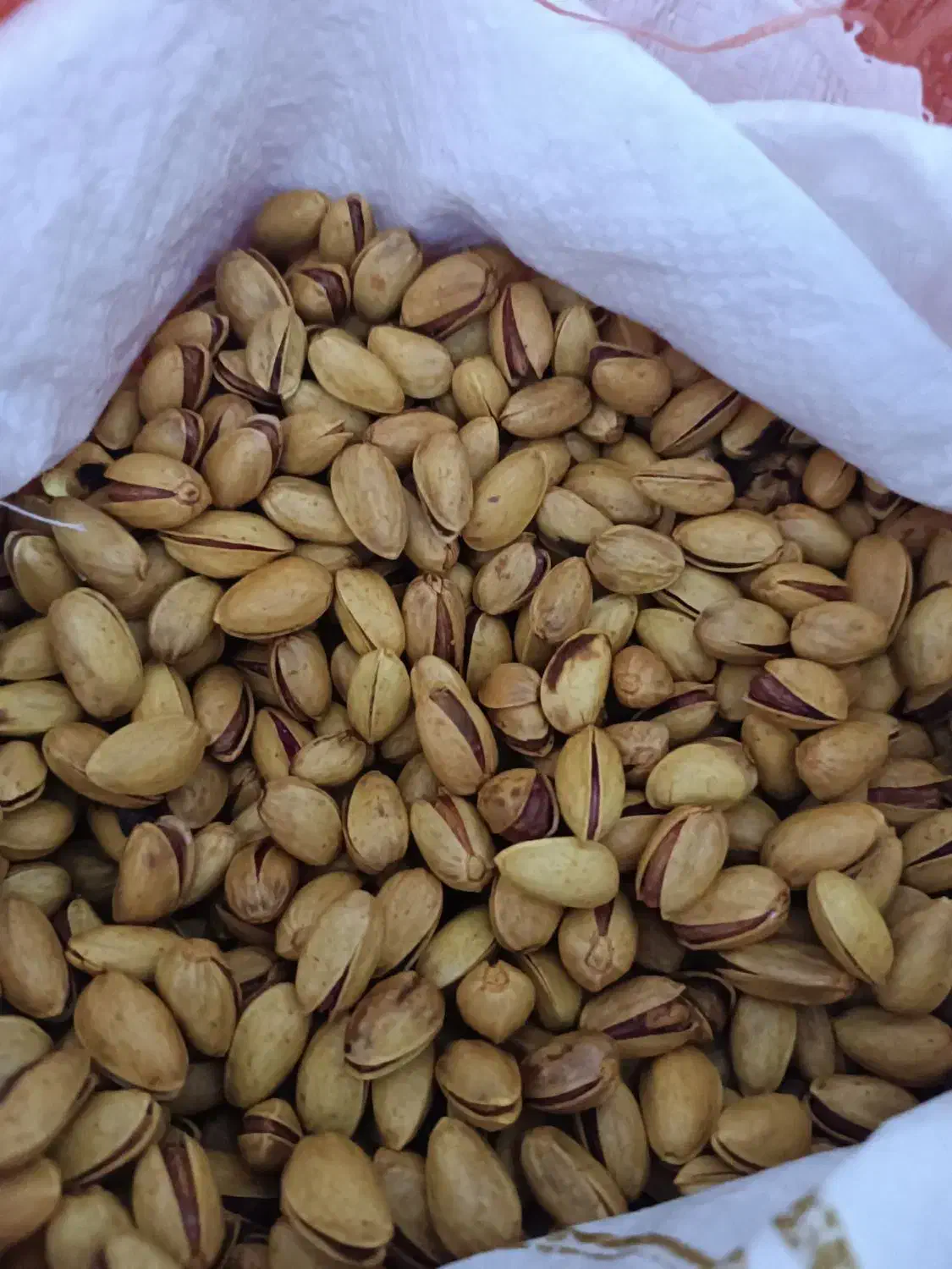 حراج|حراج|مشهد, ایثارگران|دیوار