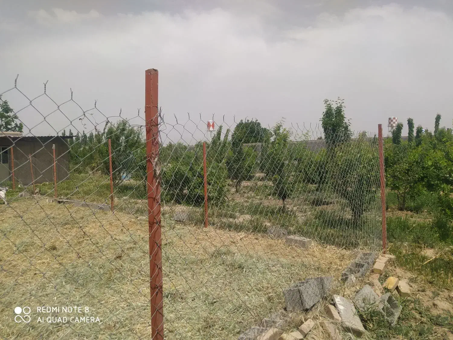 اجاره سالن پرورش قارچ|اجارهٔ دفتر صنعتی، کشاورزی، تجاری|رامجین, |دیوار