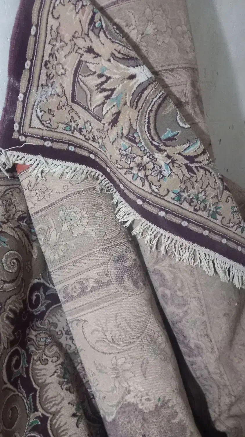 فروش فرش دست دوم|فرش|تربت جام, میان جام|دیوار